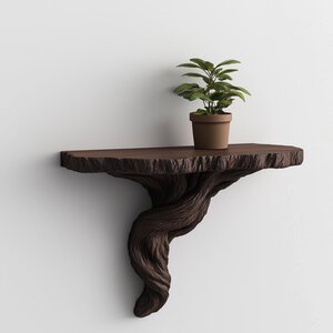 Tree Root Wall Shelf | Organic 3D Printed Shelf | Floating Shelf for Plants