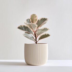 3D Printed Planter | Japanese Style Minimalist Vase | Modern Indoor Plant Pot