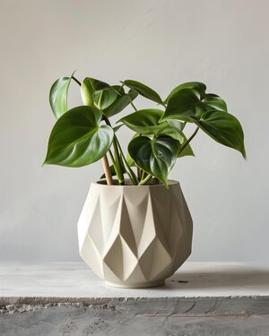 3D Printed Geometric Planter | Modern Faceted Plant Pot | Minimalist Indoor Planter