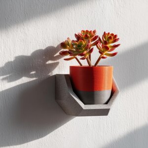3D Printed Shelf | Wall Shelf Holder | Modern Floating Plant Shelf