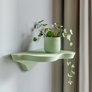 3D Printed Modern Wall Shelf | Minimalist Floating Shelf Design | Organic Nature Inspired Shape