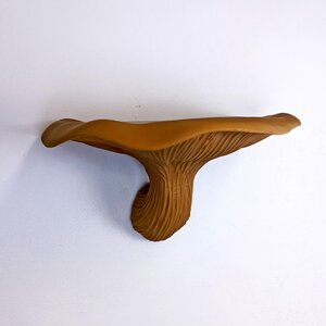 Fungi Floating Wall Shelf | 3D Printed Mushroom Organic Wall Decor | Nature Inspired Home Accent Modern Wall Mounted Shelf