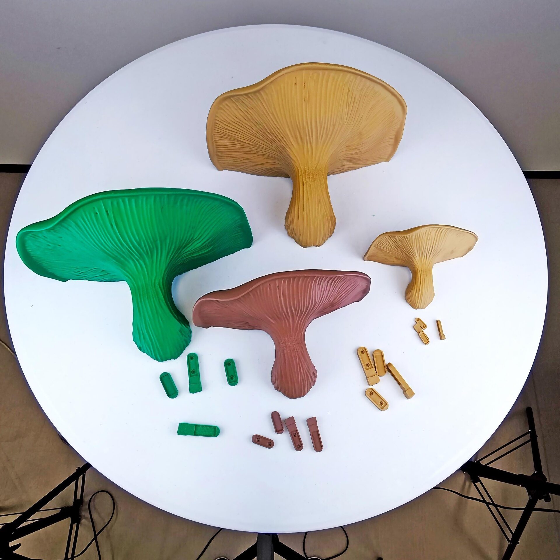 Mushroom Floating Wall Shelf | 3D Printed Organic Wall Decor | Nature Inspired Home Accent Modern Wall Mounted Shelf