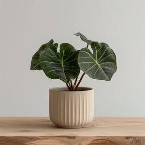 3D Printed Ribbed Planter | Modern Minimalist Plant Pot | Contemporary Indoor Planter