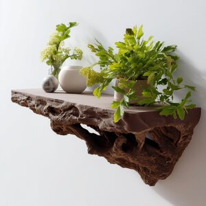 Root Inspired Floating Shelf | 3D Printed Wall Shelf Brown | Organic Wall Ledge for Plants