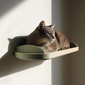 Wall Mounted Cat Shelf Bed | 3D Printed Minimalist Wall Perch for Cats | Modern Floating Cat Furniture Shelf for Rest and Relaxation
