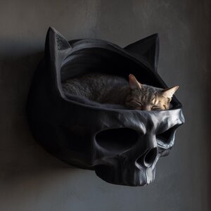 Dark Fantasy Skull Wall Mounted Pet Bed | 3D Printed Gothic Cave Shelf | Floating Black Kitty Lounger for Modern Interiors