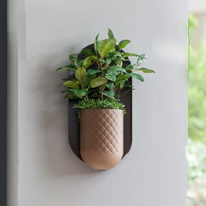 Modern Wall Planter | Minimalist Mounted Planter | Indoor Hanging Planter