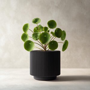 3D Printed Modern Black Planter | Minimalist Ribbed Plant Pot | Contemporary Indoor Planter