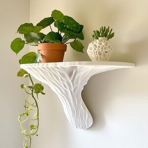3D Printed Galerina Wall Shelf | Botanical Display Ledge